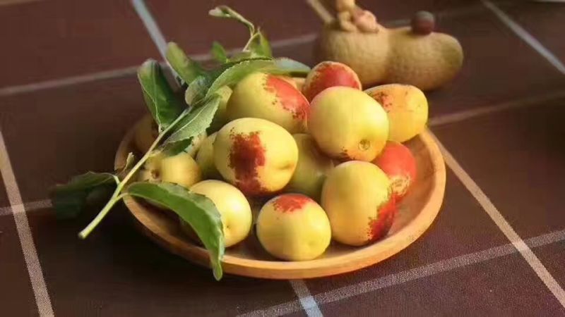 大荔冬枣
