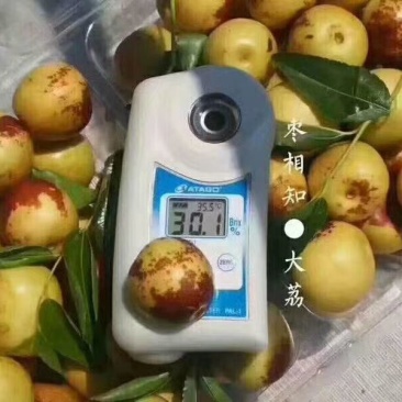 大荔冬枣