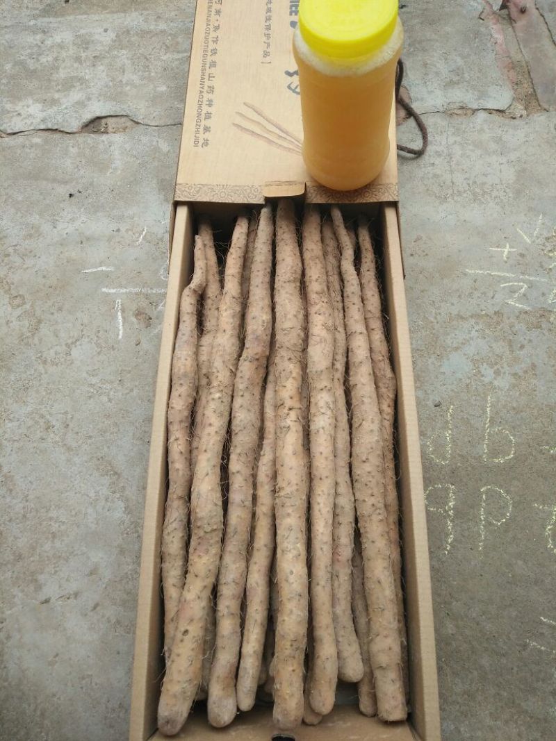 铁棍山药2~3厘米特级手捡50~70厘米