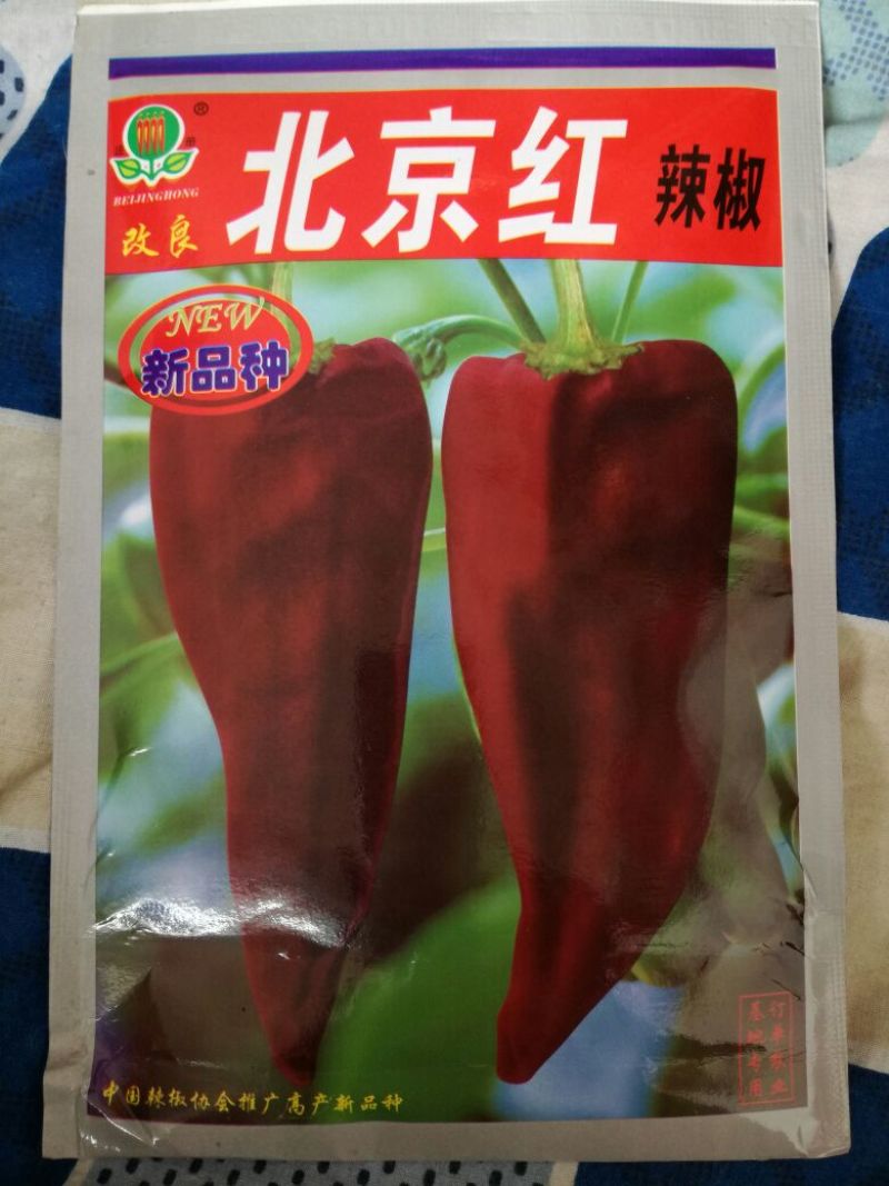 辣椒种子95%以上