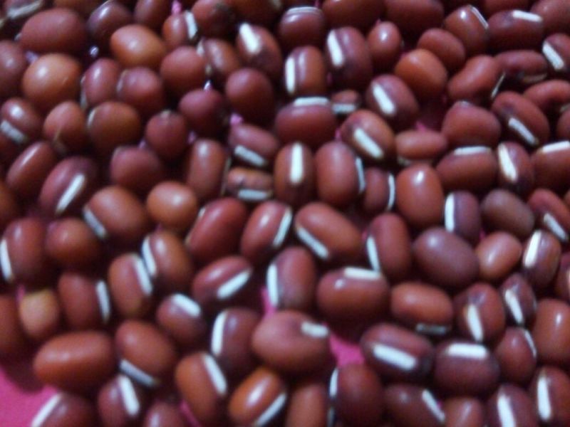 红小豆散装