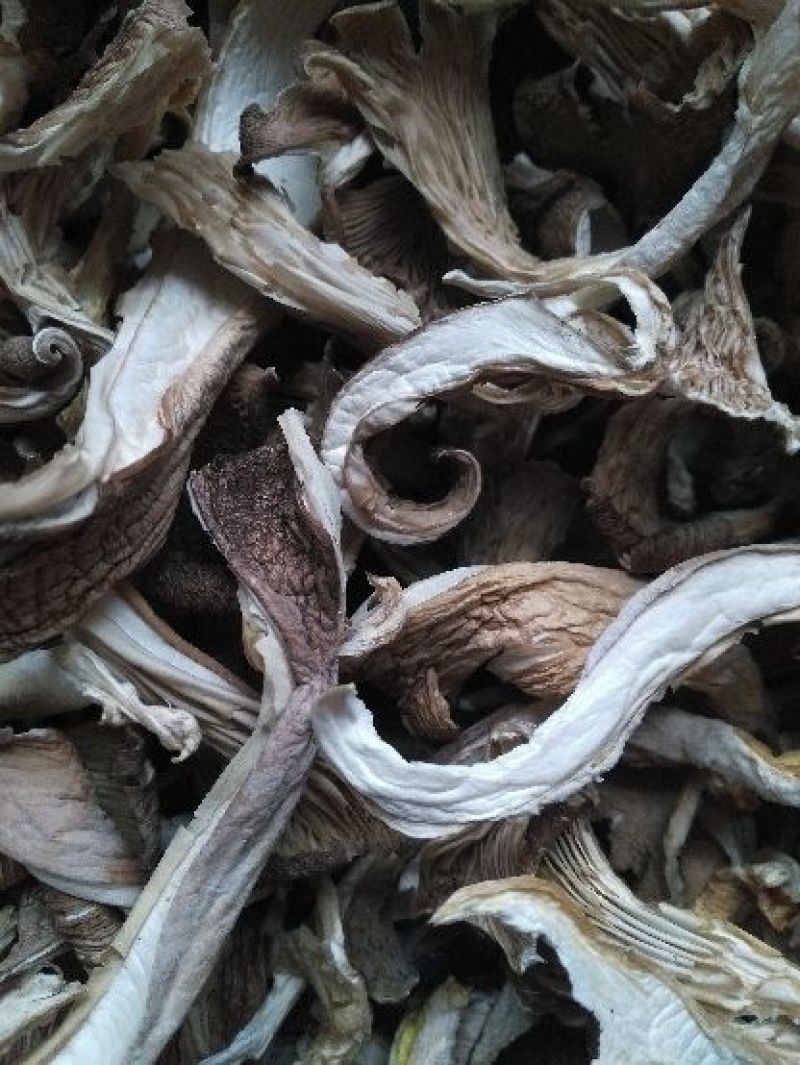 干平菇干度好，杂质少，