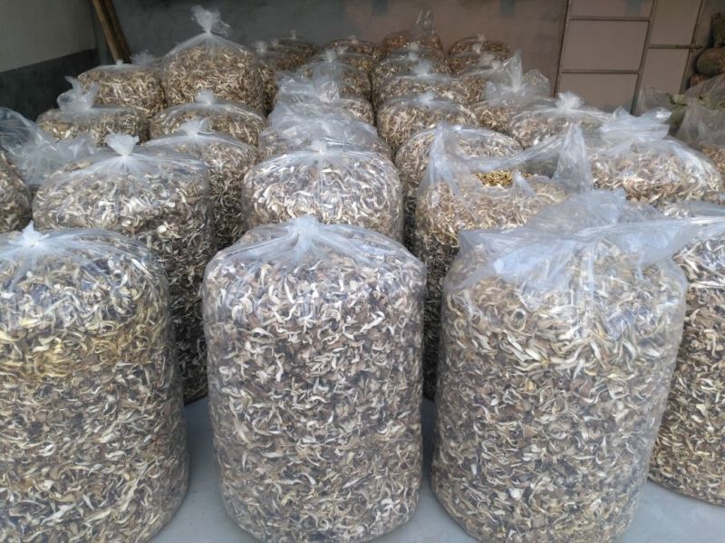 干平菇干度好，杂质少，