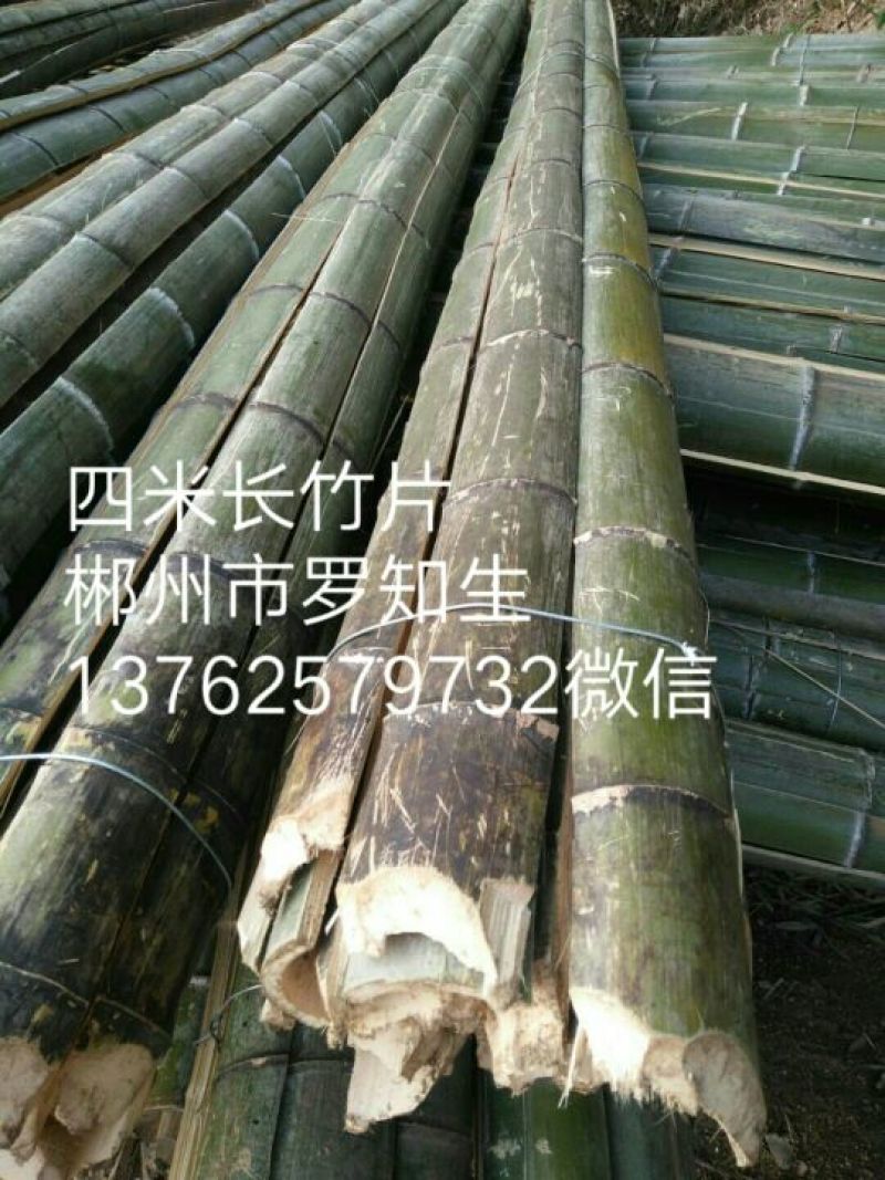 楠竹5~6cm5~6米