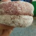柿饼2~2.5两