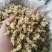 菊花茶药用菊花干品统货