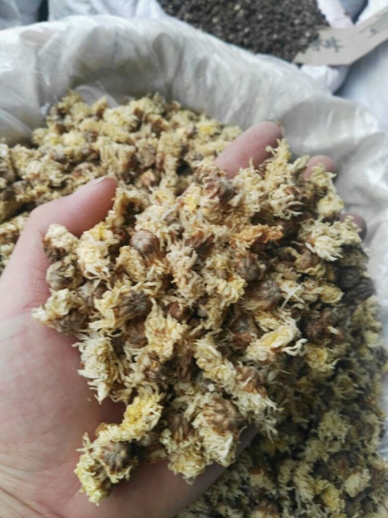 菊花茶药用菊花干品统货