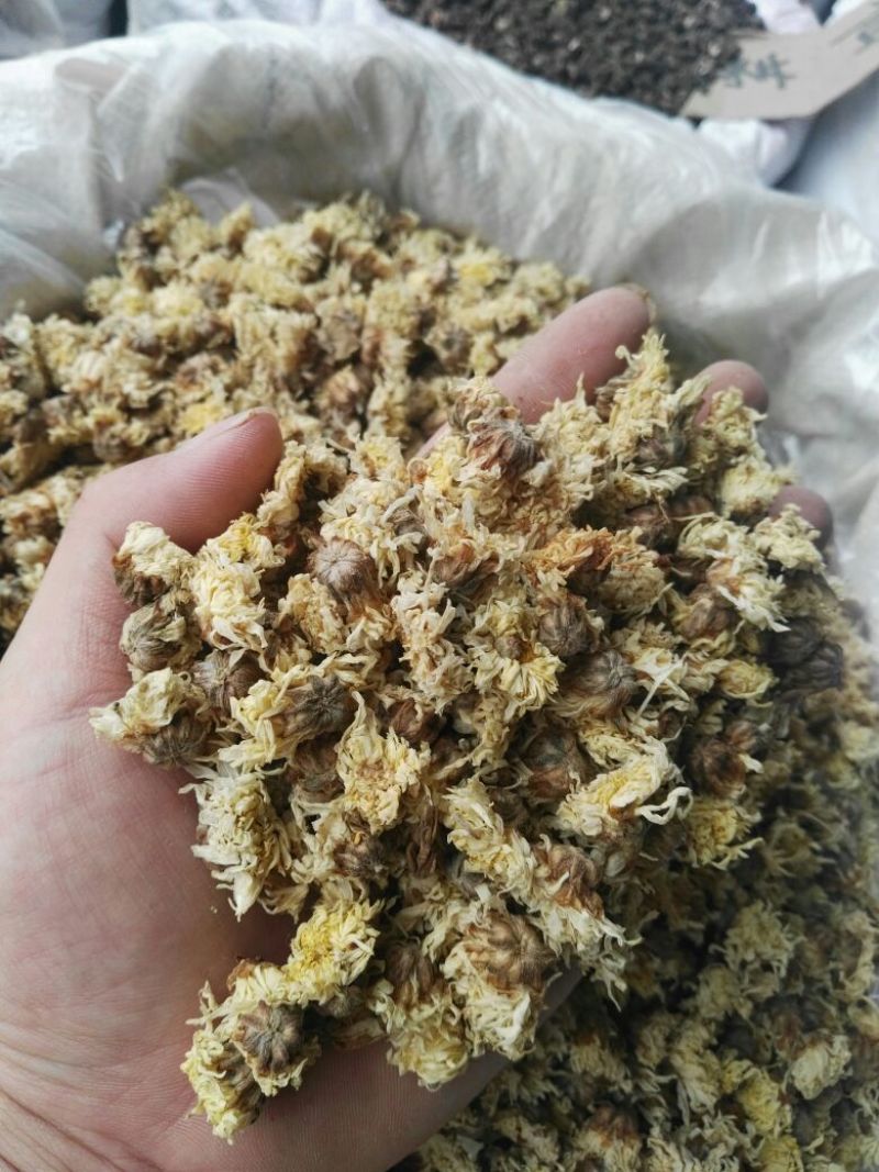 菊花茶药用菊花干品统货