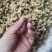 菊花茶药用菊花干品统货
