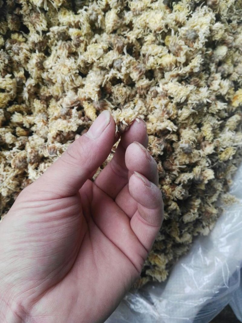 菊花茶药用菊花干品统货