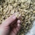 菊花茶药用菊花干品统货