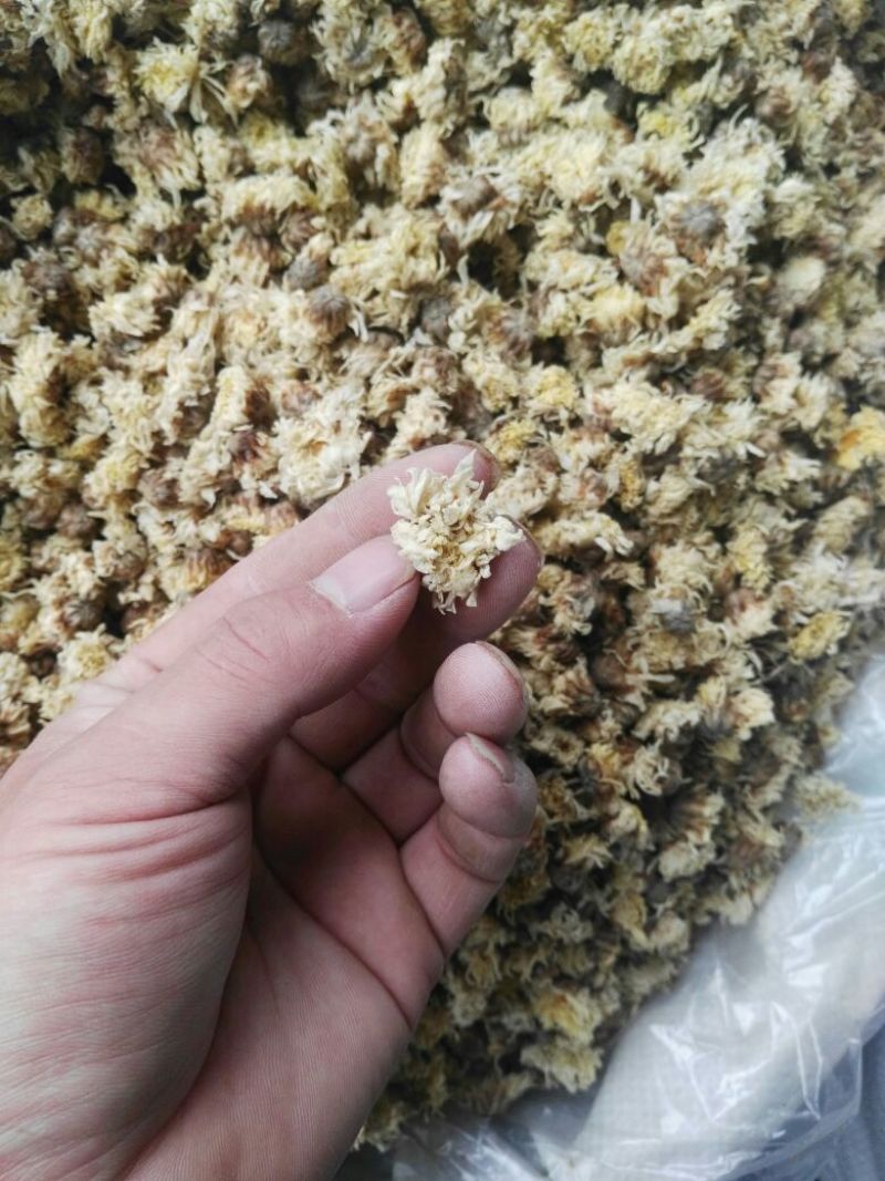 菊花茶药用菊花干品统货