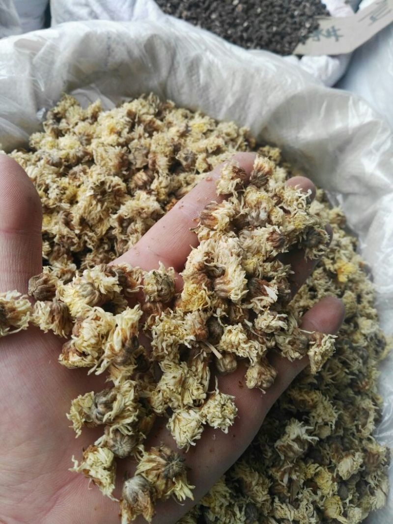 菊花茶药用菊花干品统货