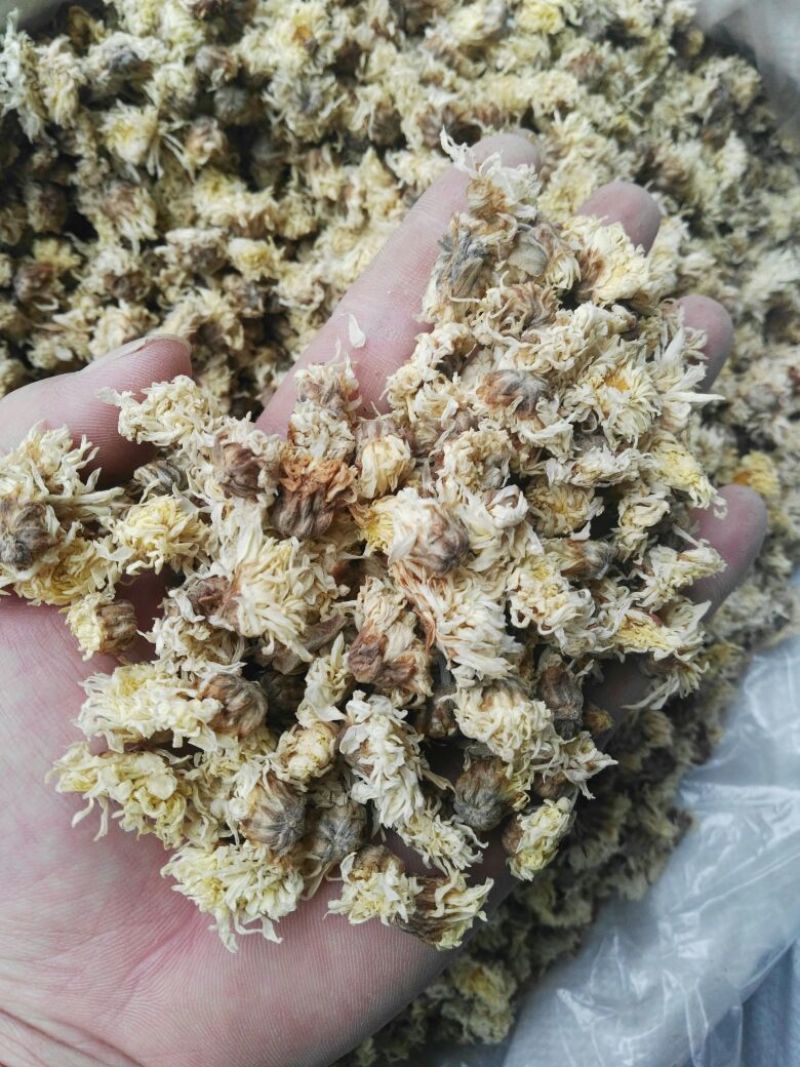 菊花茶药用菊花干品统货