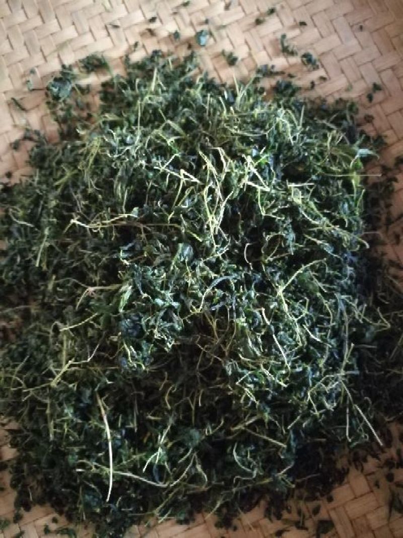辣木茶特级