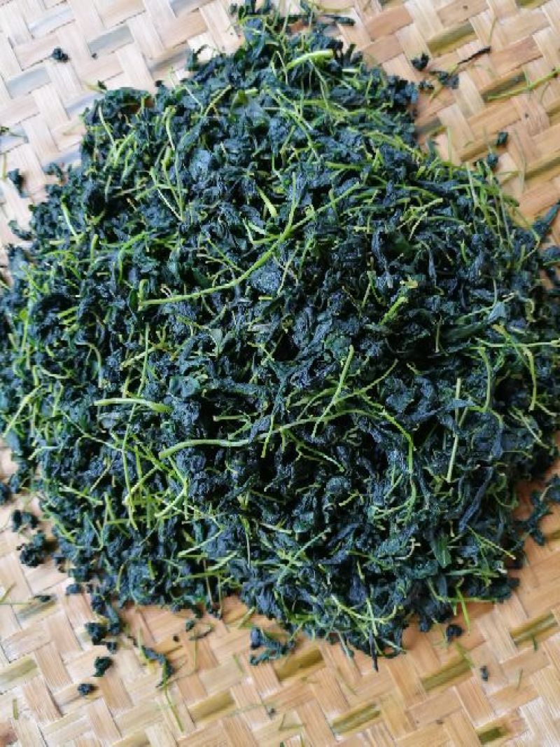 辣木茶特级