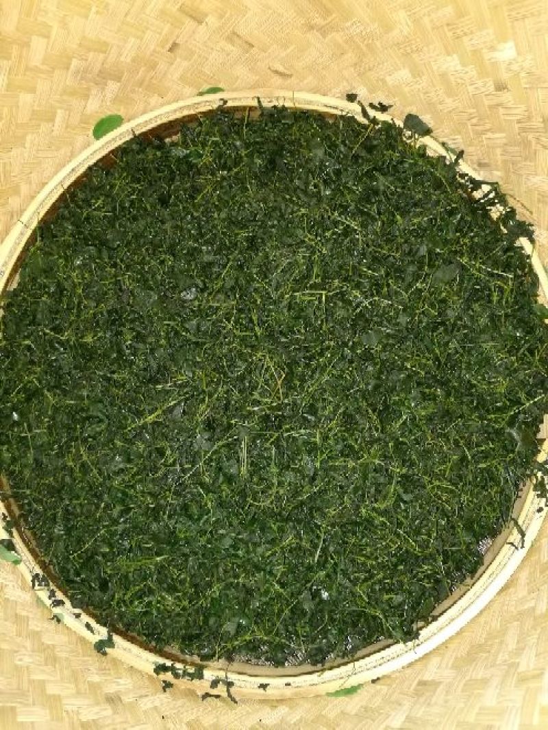 辣木茶特级
