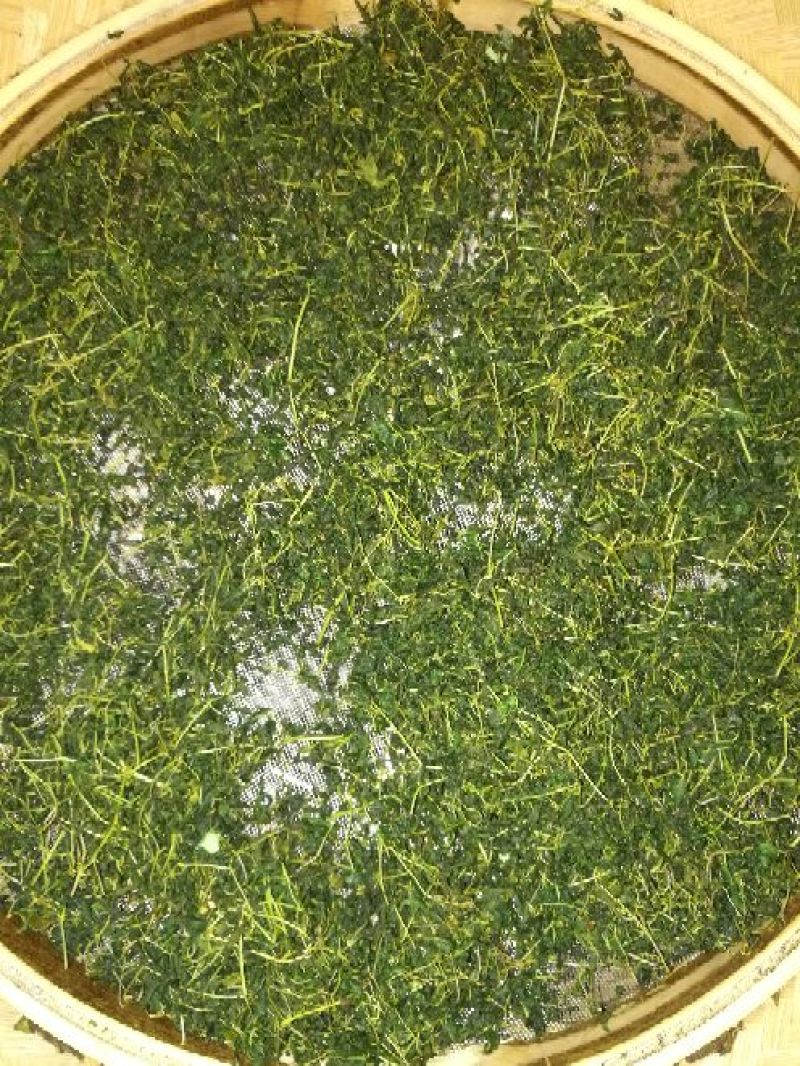 辣木茶特级
