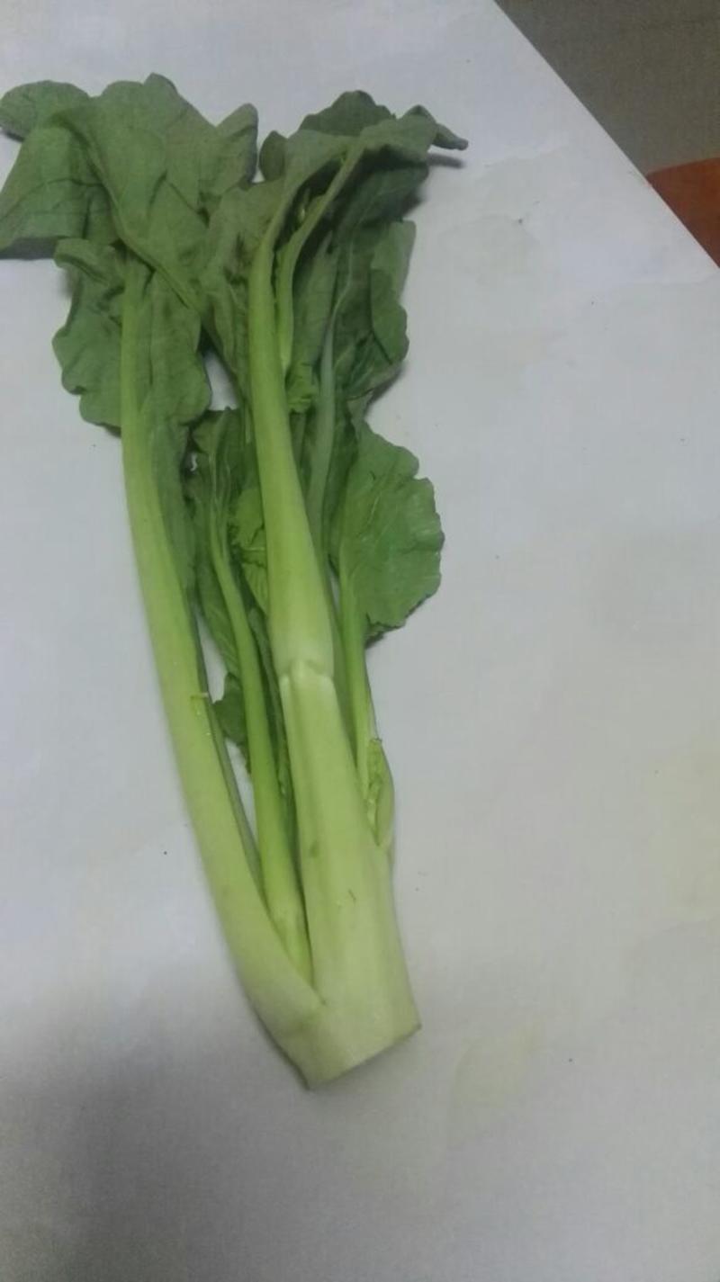白菜苔30~40厘米