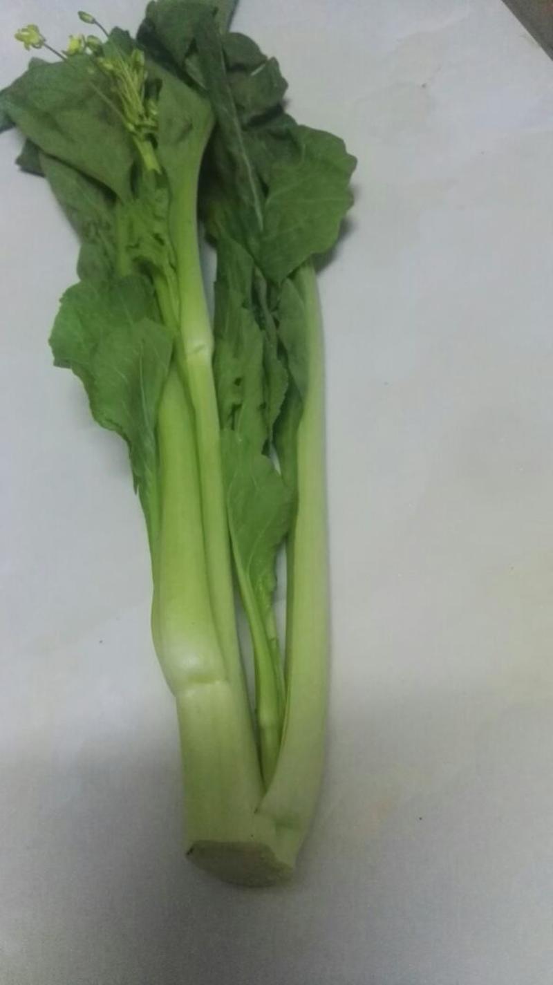 白菜苔30~40厘米