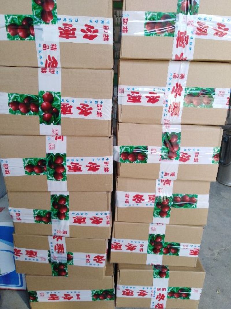 沾化冬枣拐一