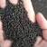 油菜籽1级