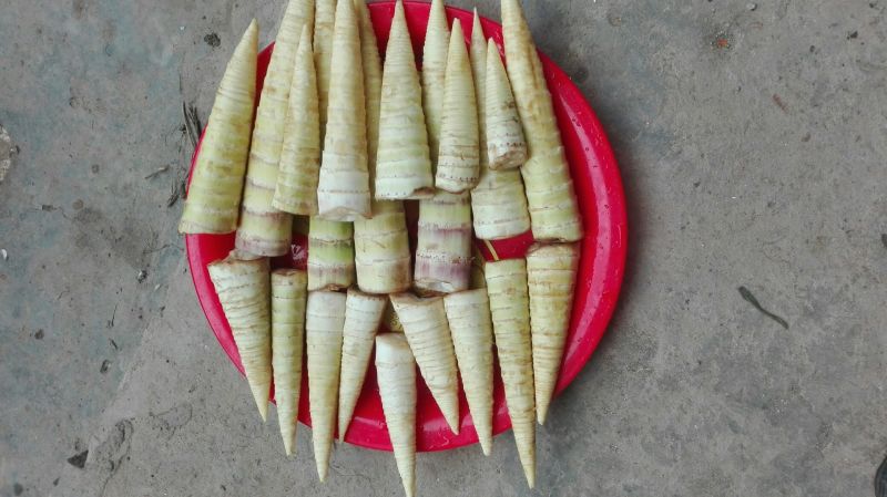 笋干淡笋干