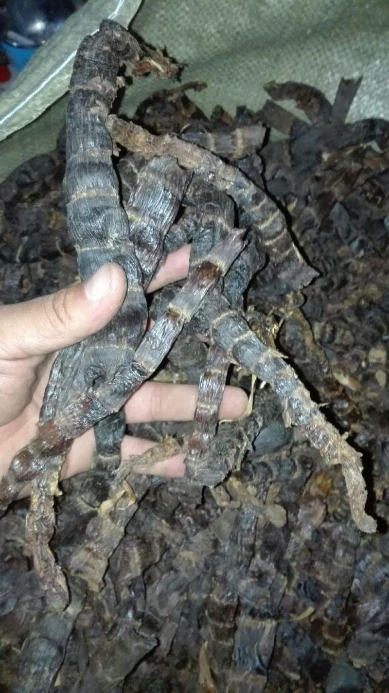 笋干淡笋干