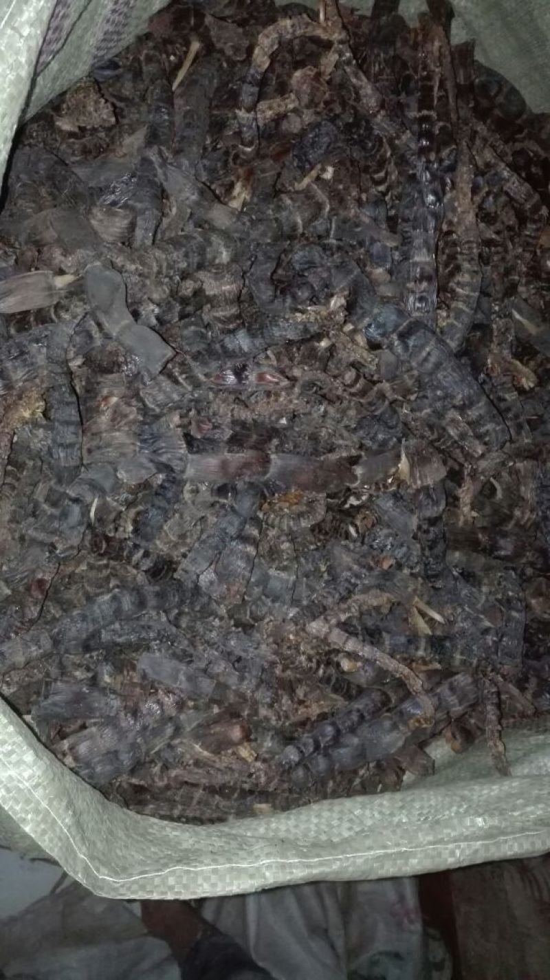 笋干淡笋干