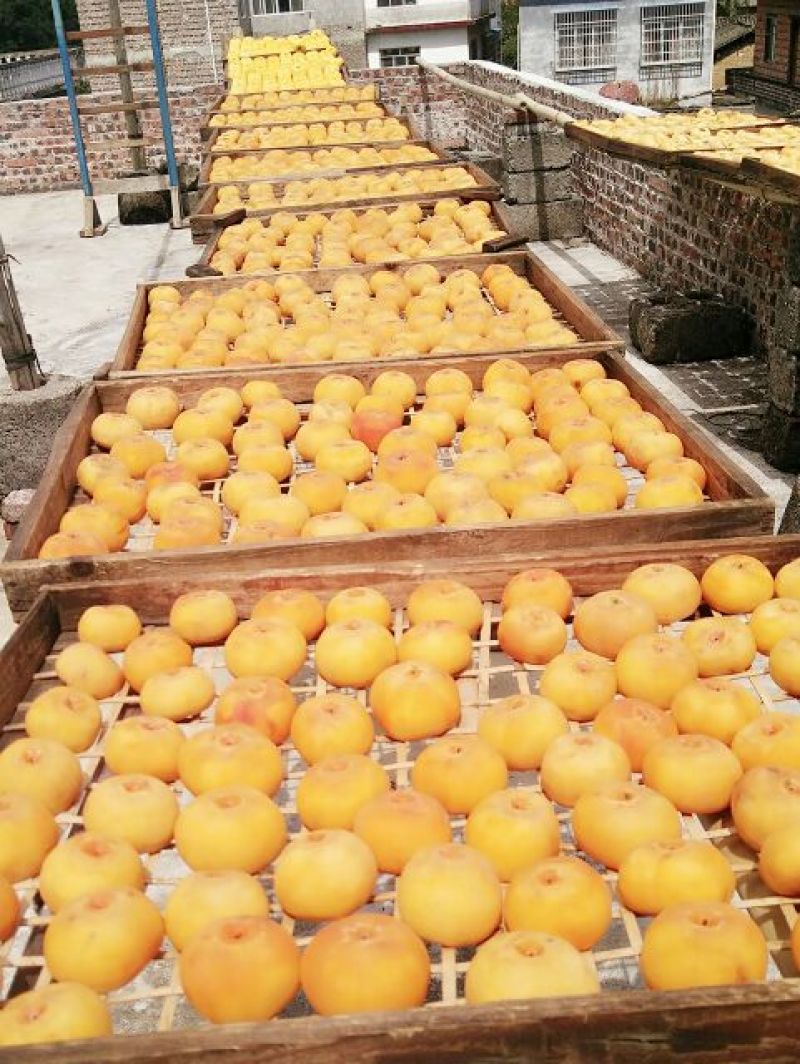 柿饼1~2两