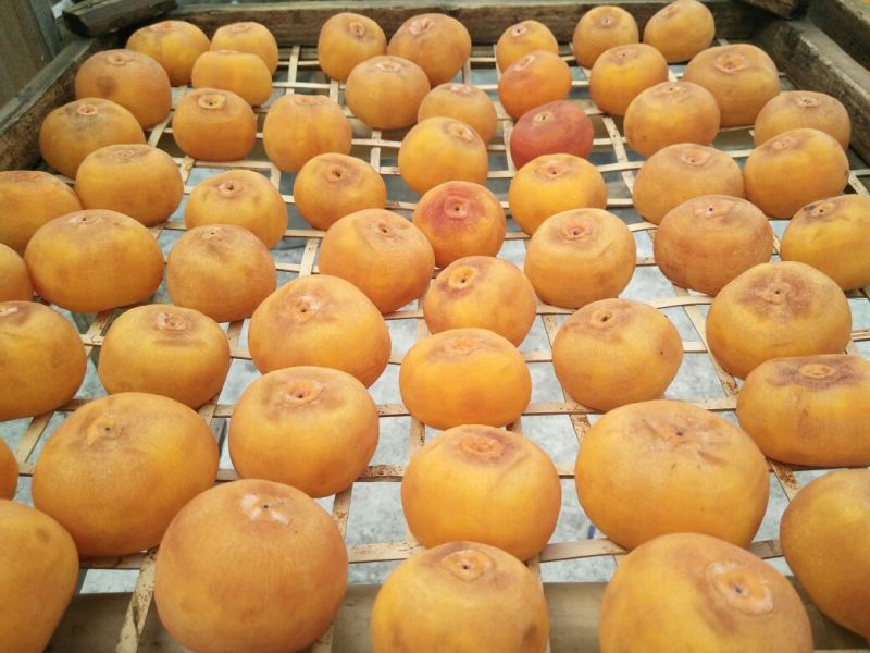 柿饼1~2两