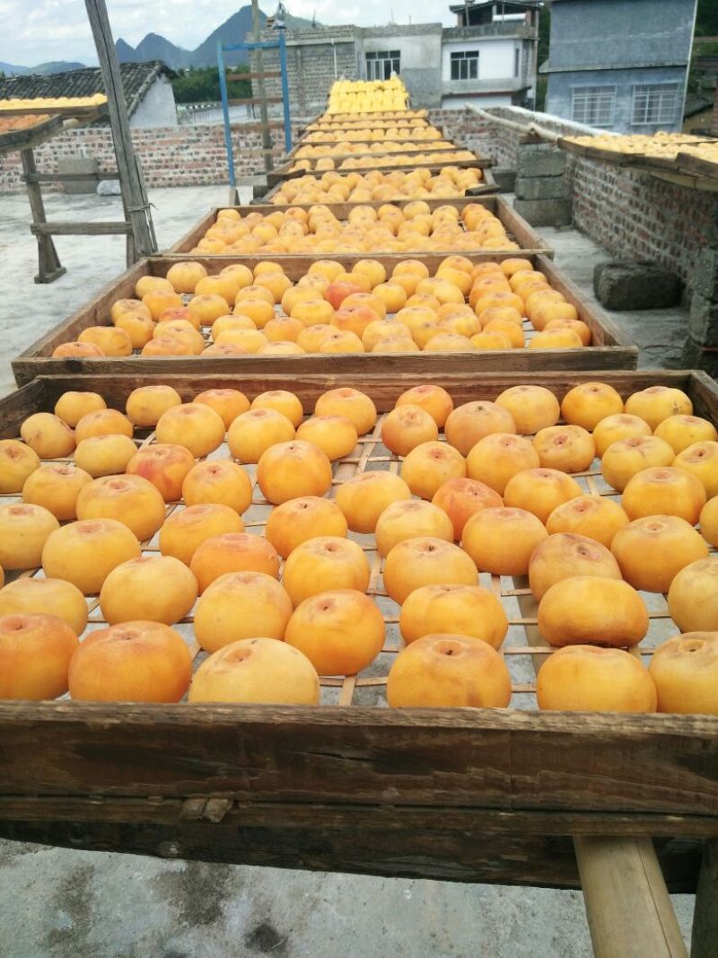 柿饼1~2两