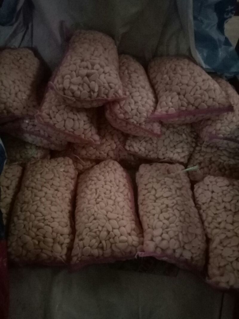 蒜米金品质，行天下