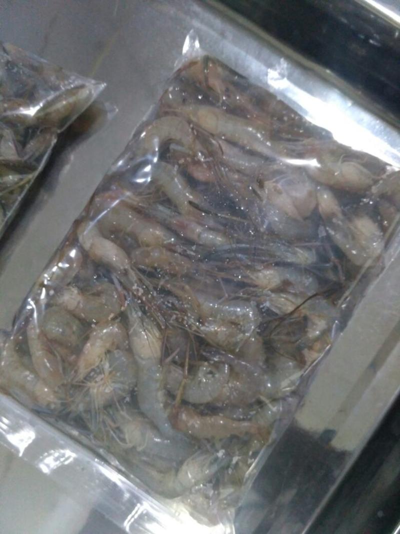河虾冻虾26~30只/kg