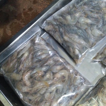 河虾冻虾26~30只/kg