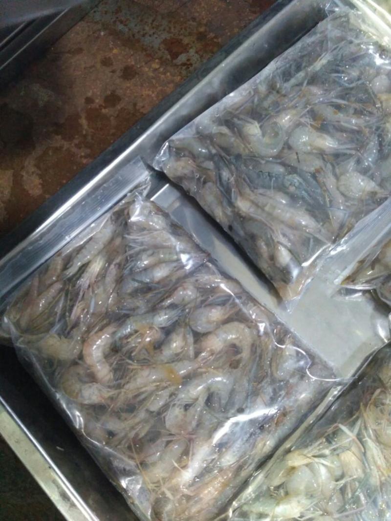 河虾冻虾26~30只/kg