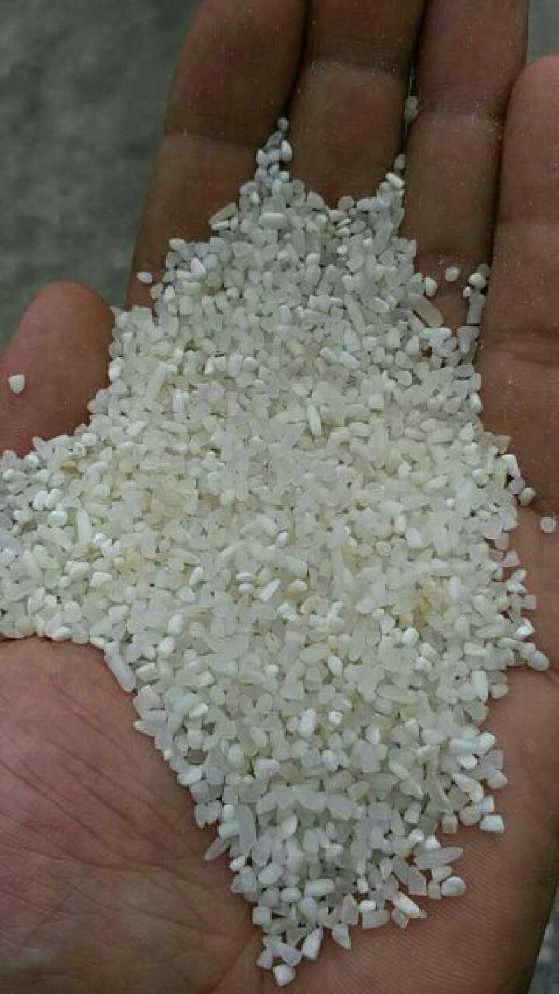 碎米大碎粥米宠物用米米粉米