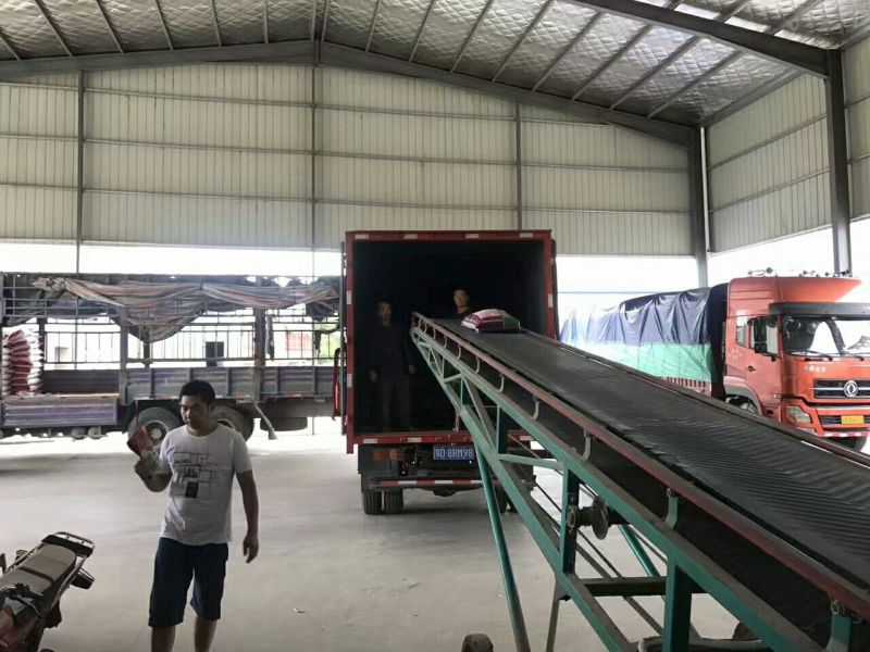 碎米大碎粥米宠物用米米粉米