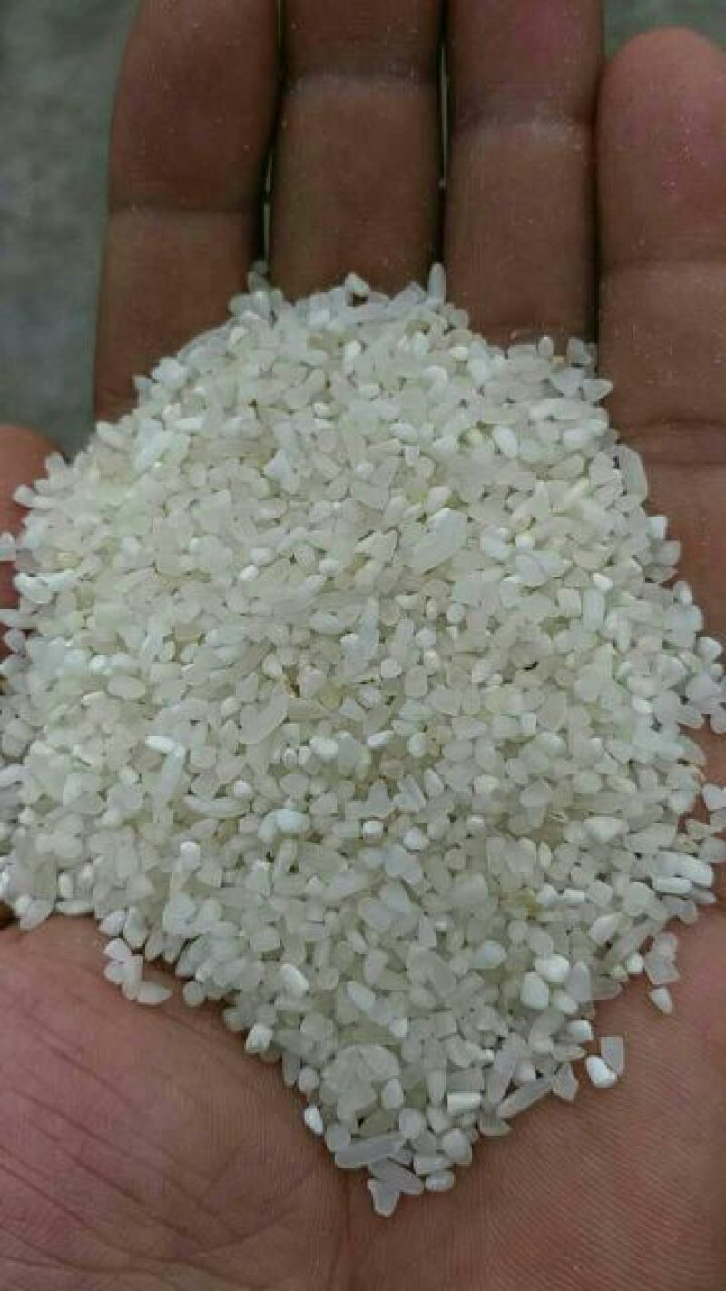 碎米大碎粥米宠物用米米粉米