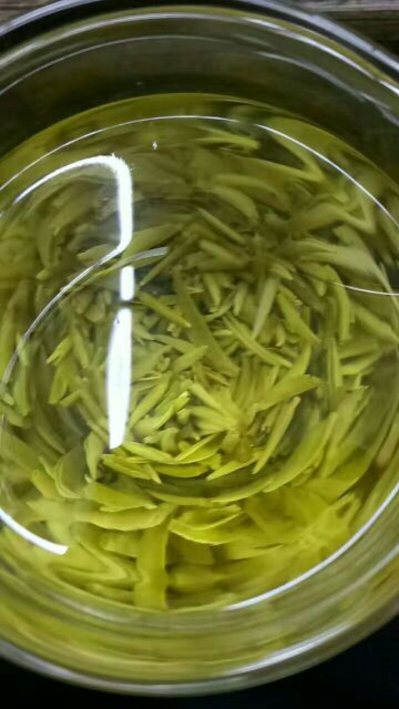 湄潭翠芽特级茶叶条装3g*40包/盒