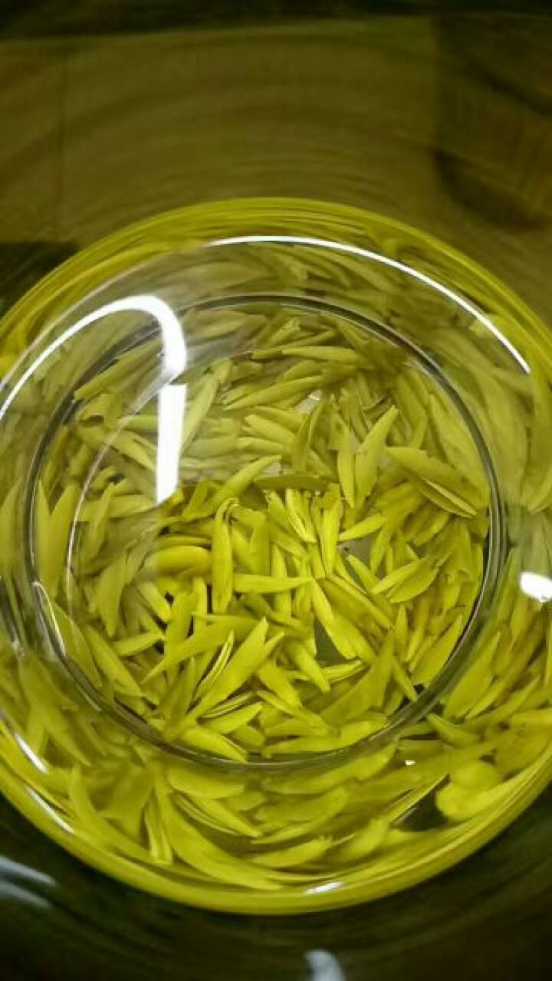 湄潭翠芽特级茶叶条装3g*40包/盒