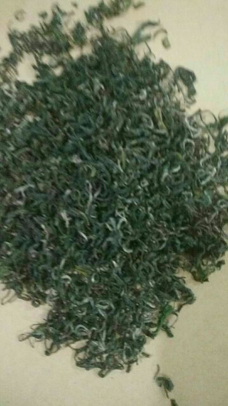 【有好货】富硒茶高原云雾茶250g/袋包邮