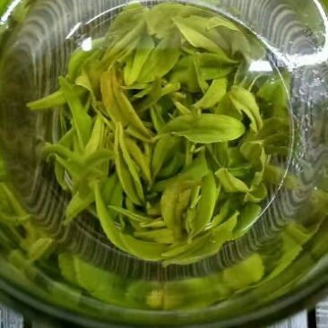 【有好货】富硒茶高原云雾茶250g/袋包邮