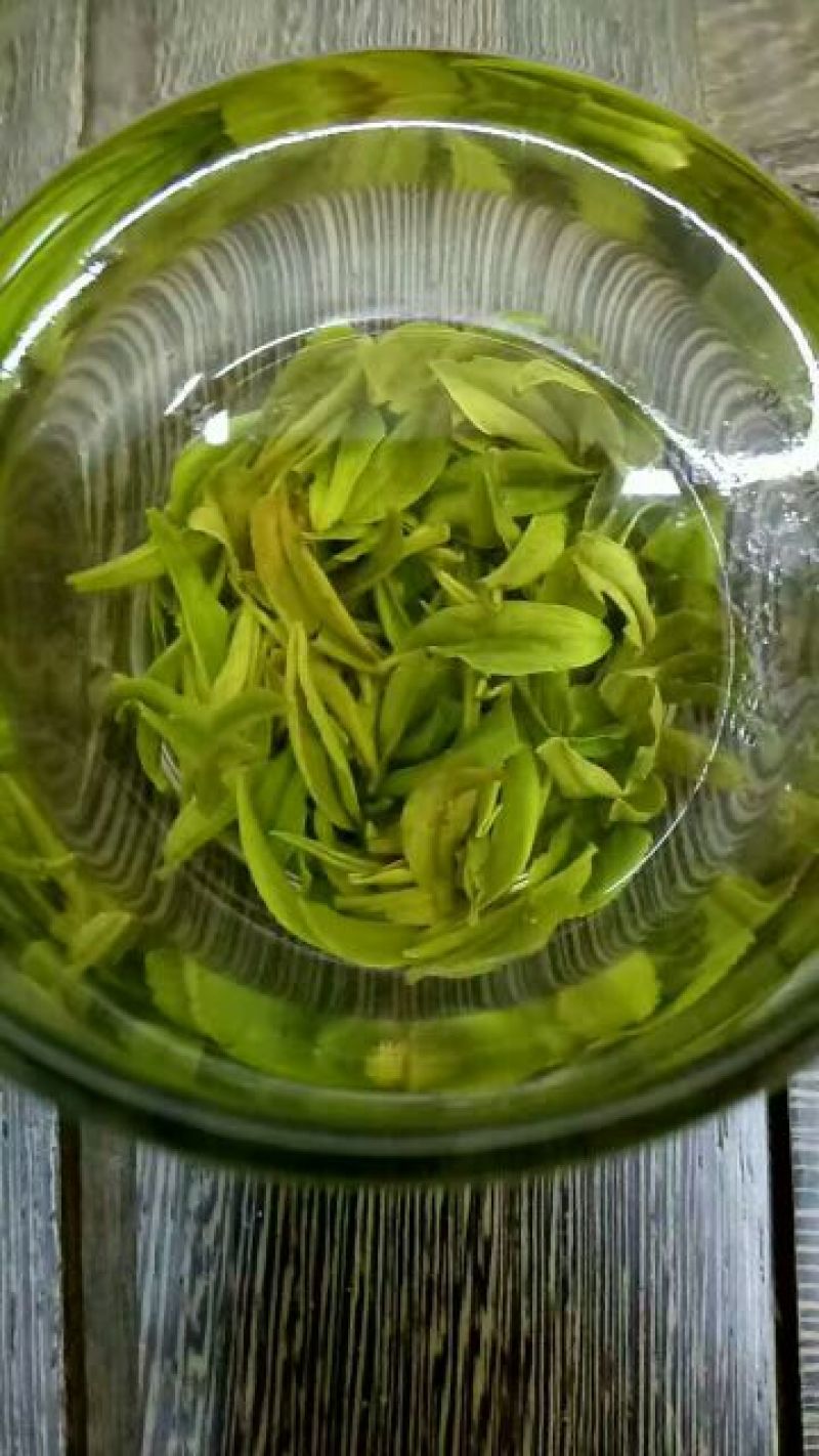 【有好货】富硒茶高原云雾茶250g/袋包邮