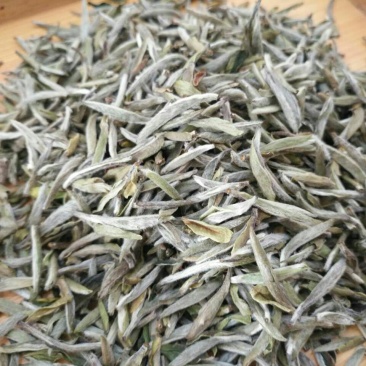 福鼎白茶特级