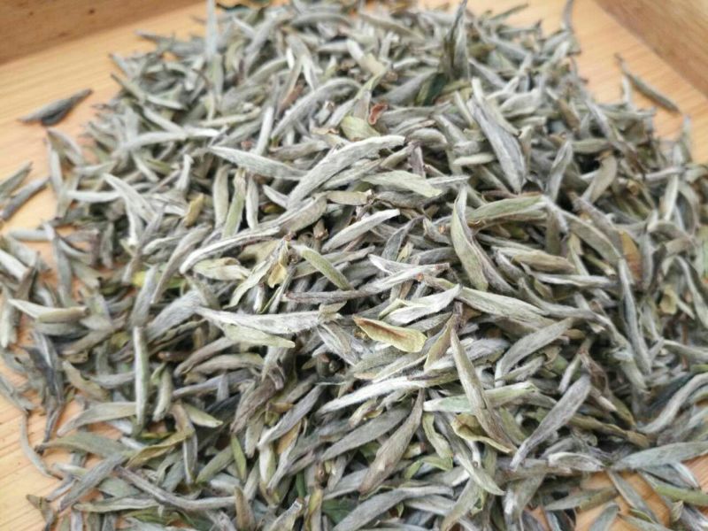 福鼎白茶特级