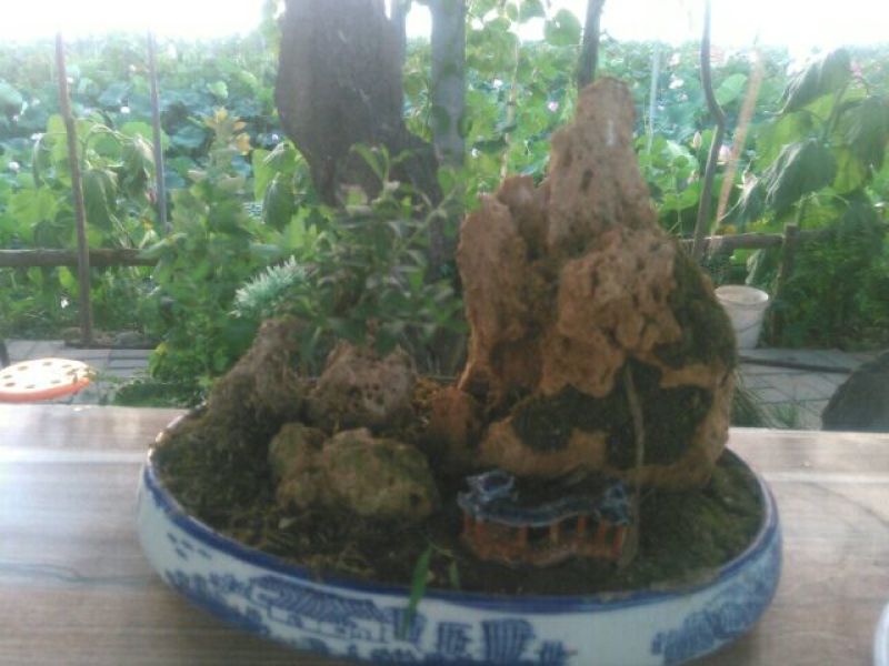 上水石假山盆景