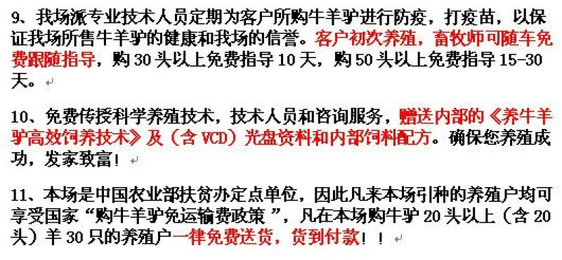 肉驴100~200斤