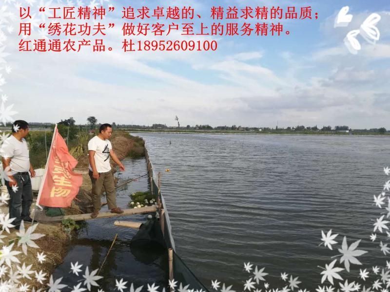 孟加拉蟹兴化大闸蟹