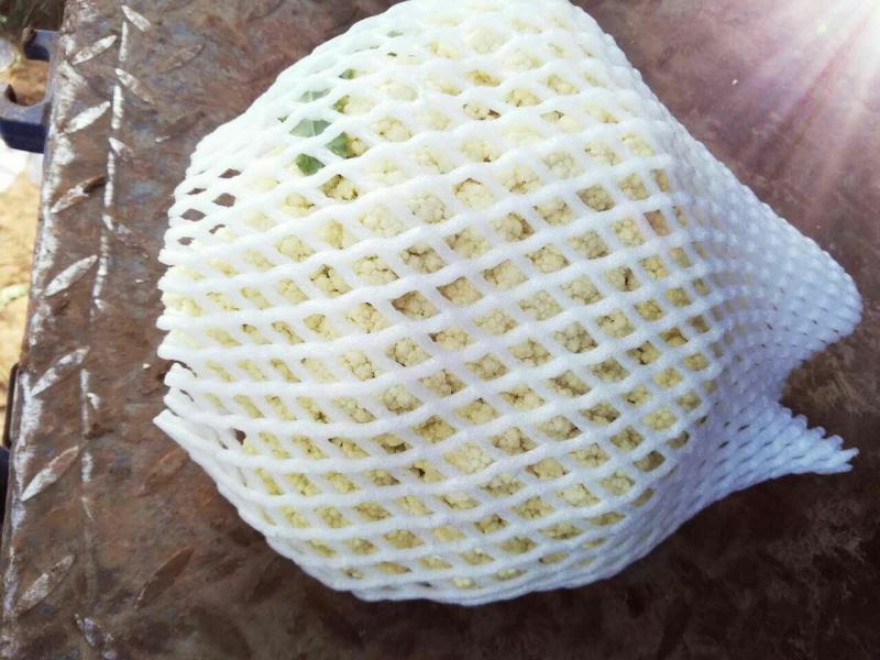 白面青梗松花菜紧密乳白2斤
